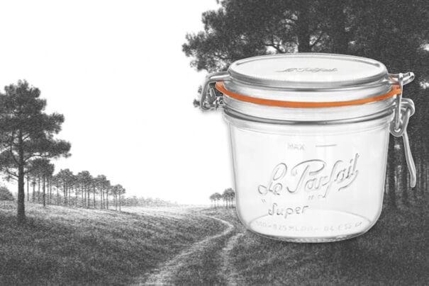 foie gras en bocal le parfait